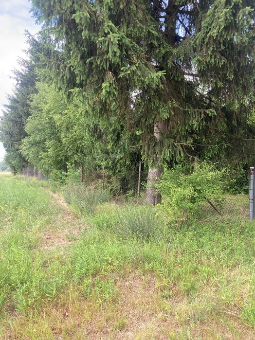 Dzialka 4000 m/2 na sprzedaz- Husinka Gmina Biala Podlaska