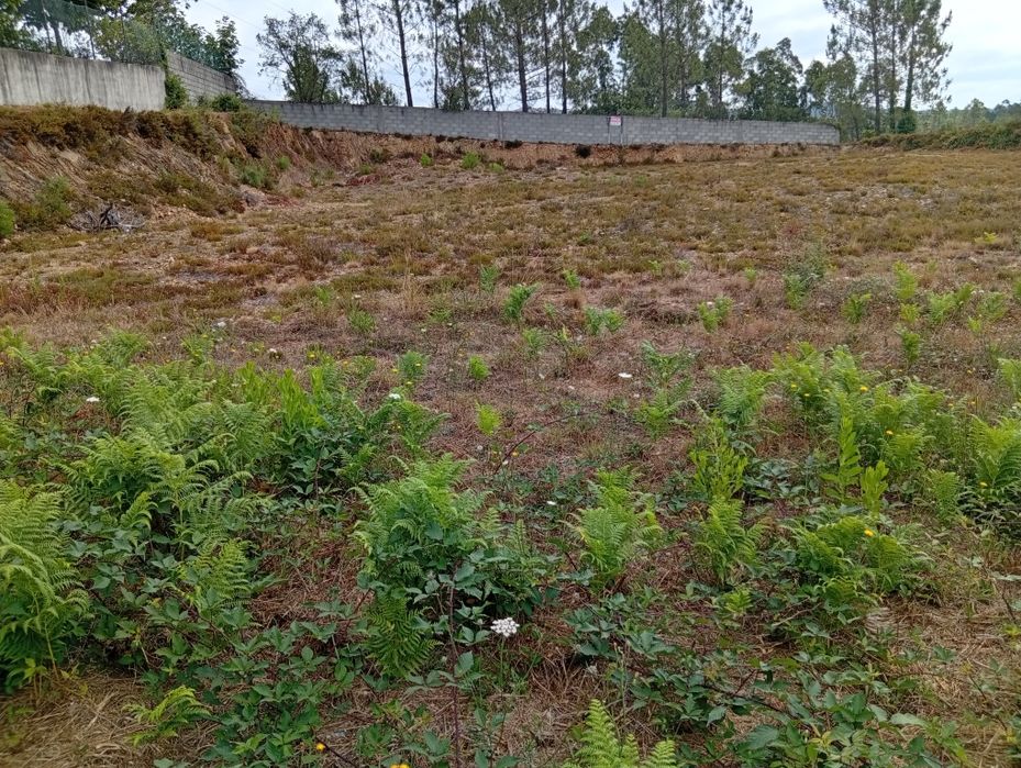 Terreno para construção em Recarei paredes praceta de Valvide