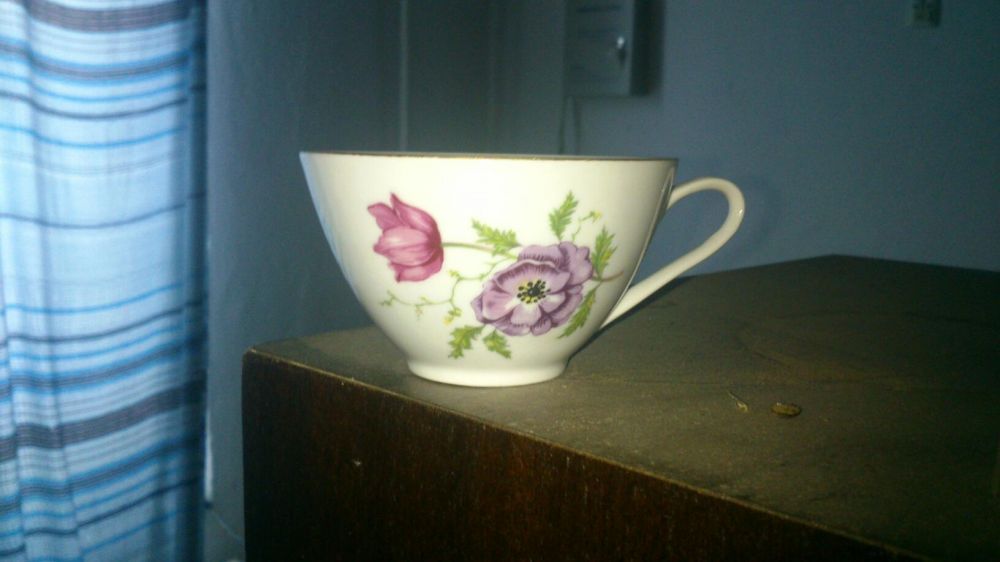 Сервис чешский новый