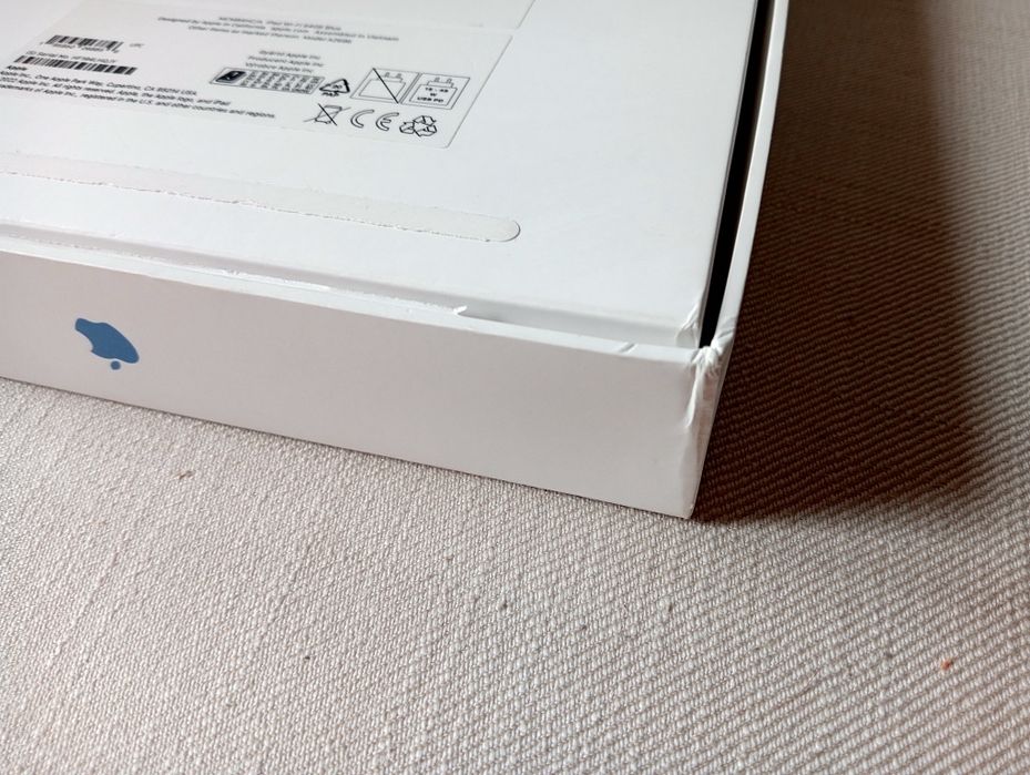 Niebieski iPad 10 generacji