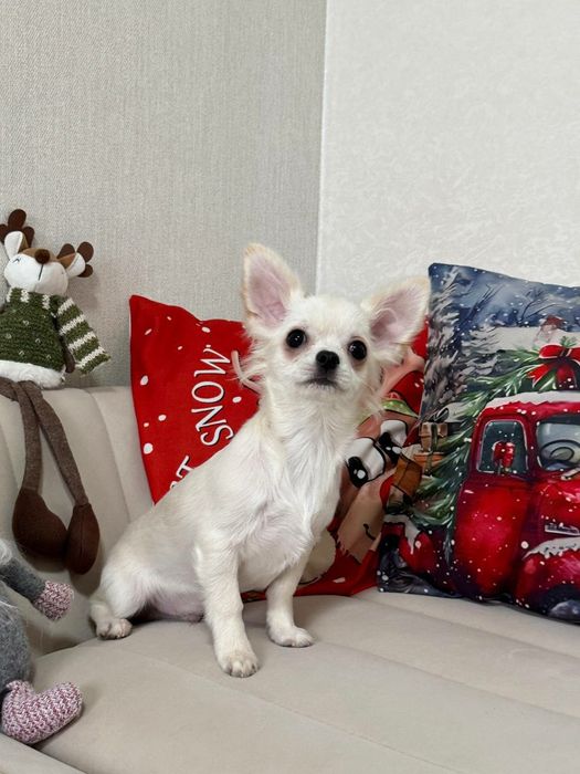 Дуже гана дитина