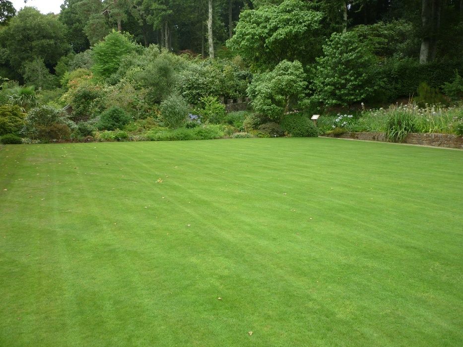 Usługi glebogryzarką separacyjną, niwelacja terenu, miniładowarka