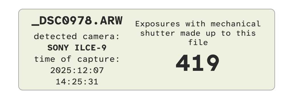 Sony A9 ILCE-9 Alpha 9 Shutter Count 419