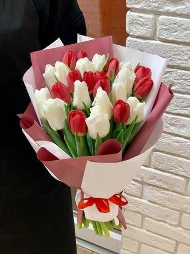 Тюльпани САМАР опт, роздріб, доставка