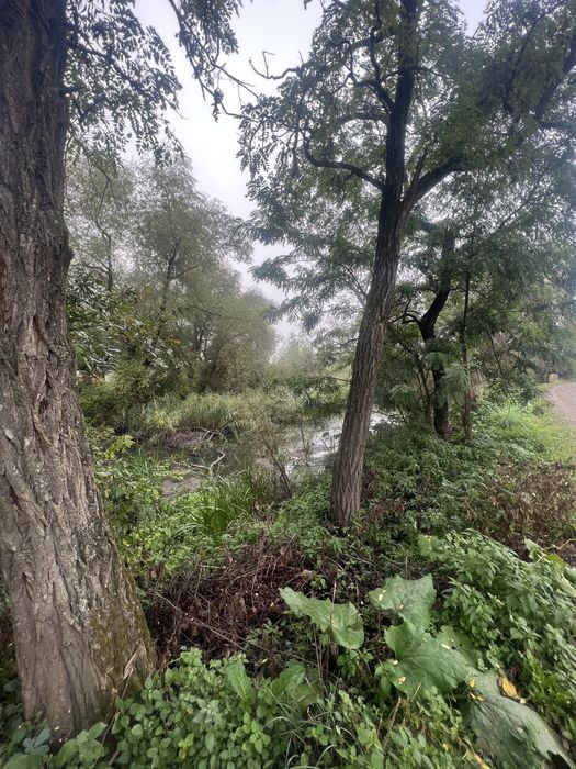 Будинок 16сот, поряд озеро Задорожнє та Baykal Resort