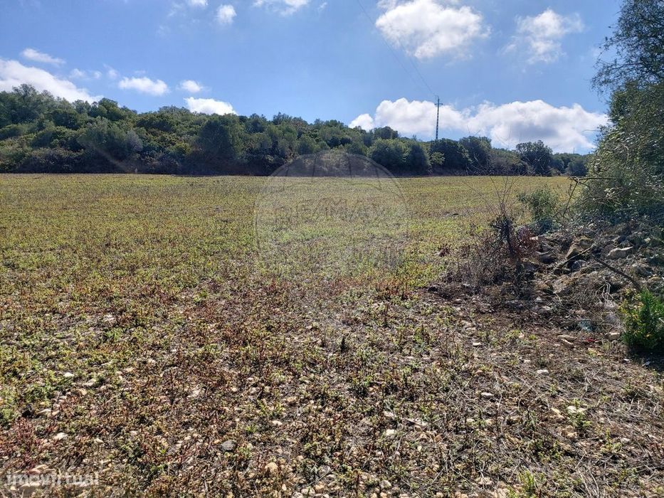 Terreno  para venda