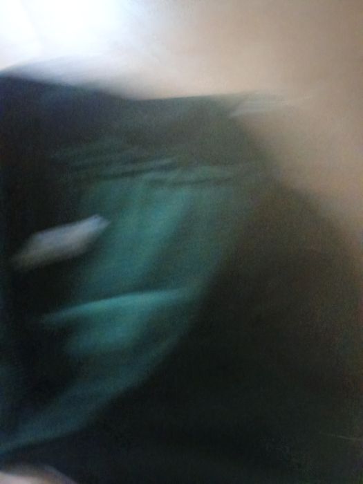 Calcas fato treino Lacoste verdes