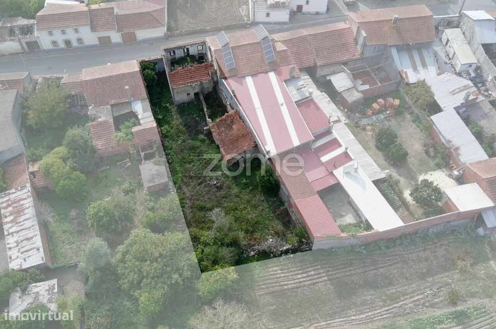 Foco no Investimento (Direto e Pragmático)