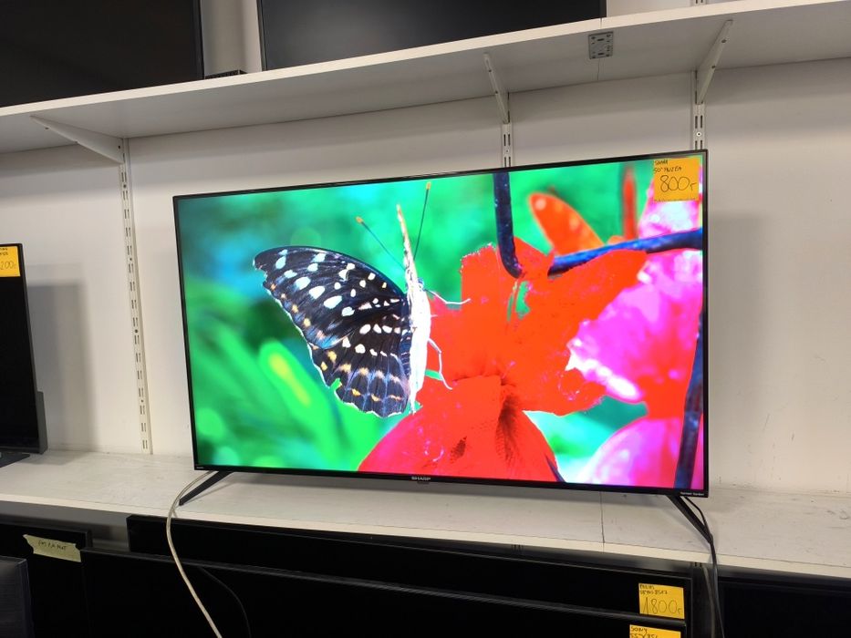 Sharp 50 cali 4K UHD hdr Smart Android WiFi DVB-T2 50FN2EA gwarancja 3m telewizor