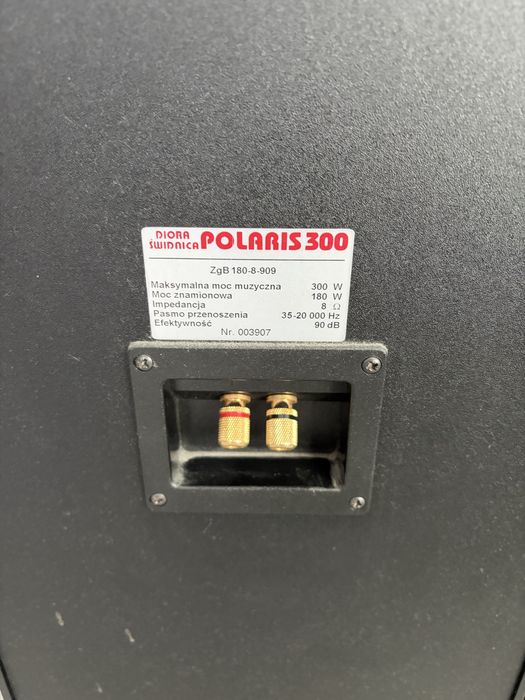 Diora Polaris 300 – para kolumn głośnikowych.