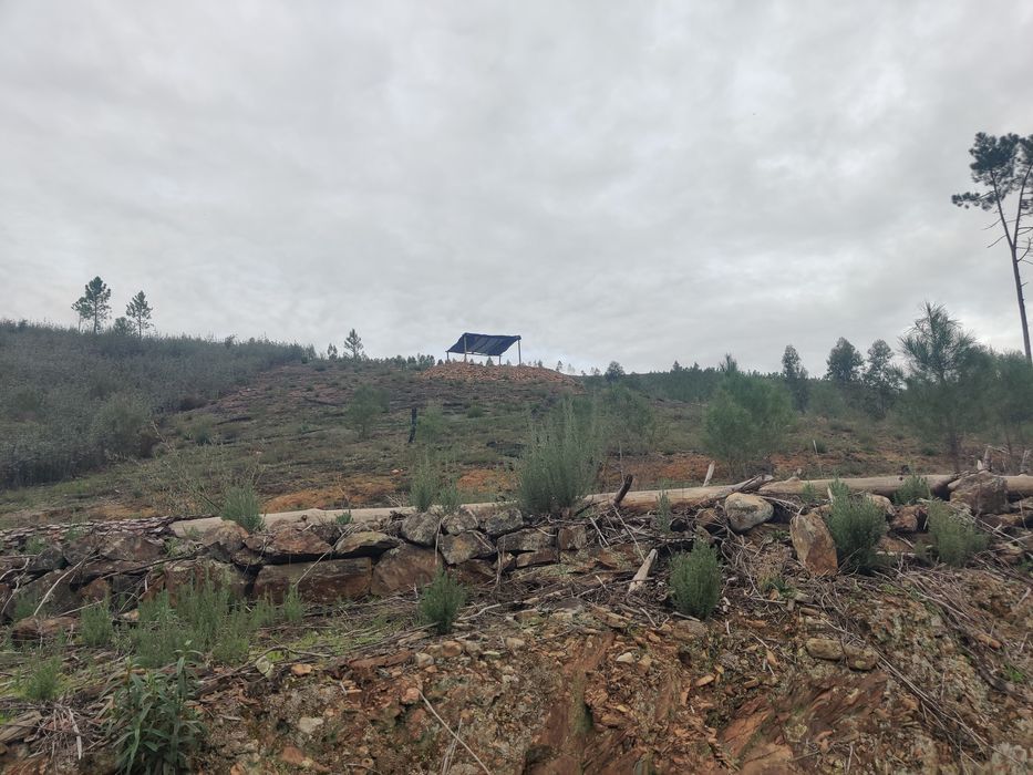 Terreno Rústico 5000m2