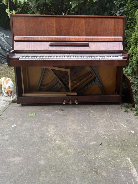 Pianino Belaruss