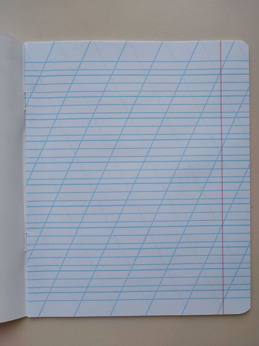Зошити в похилу лінію (12 арк), в клітинку (24 арк)