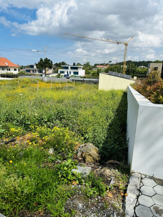 Terreno em Francelos