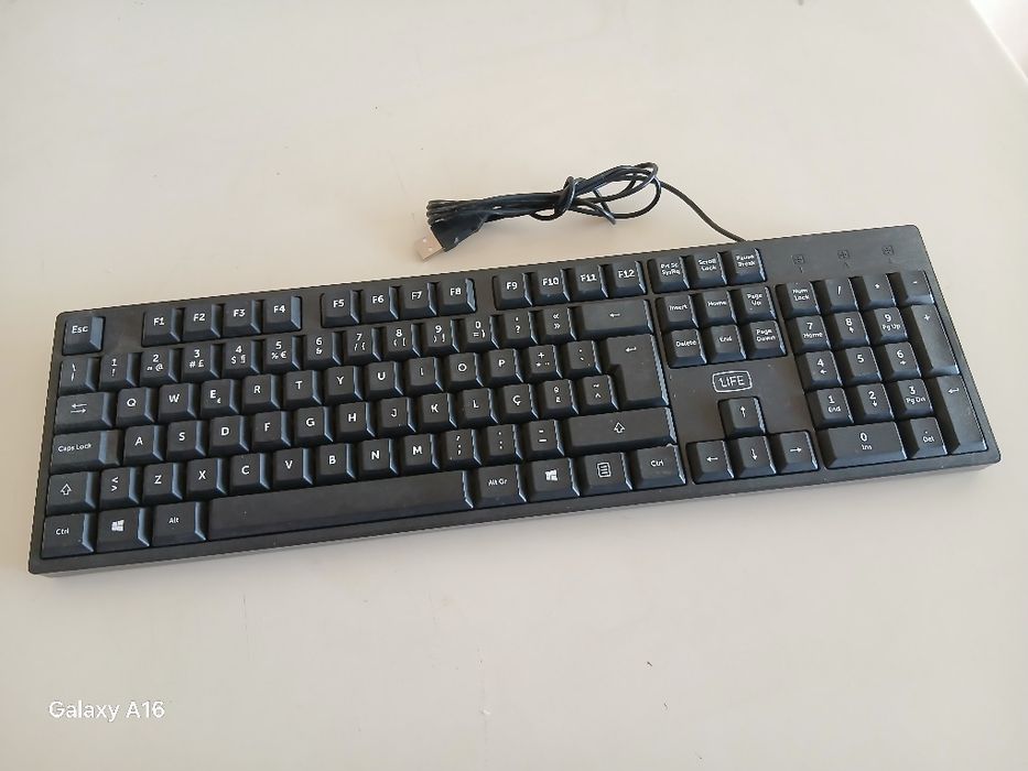 Teclados e ratos