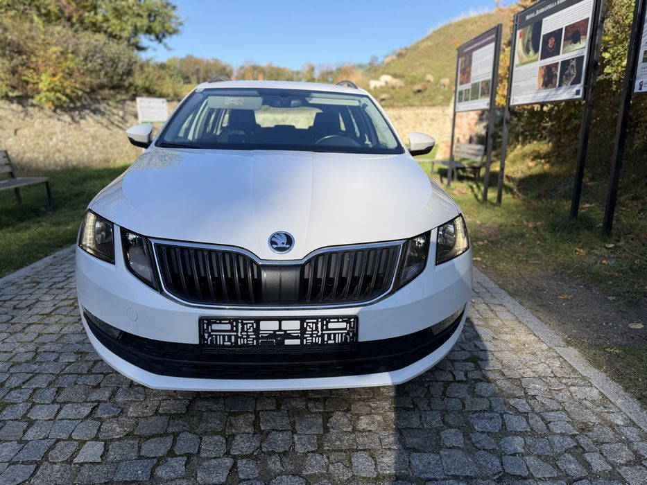 Skoda Octavia Lift 1.6 Tdi Bdb Stan Bogata Wersja Serwisowana Okazja
