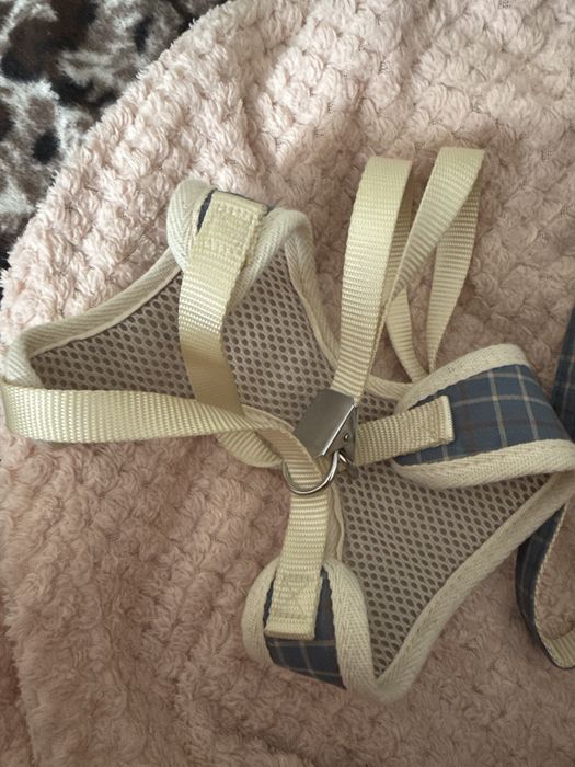 Шлейка для котика чи песика