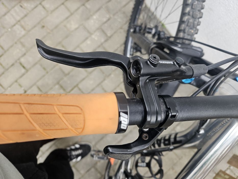 Bicicleta Enduro Transition Sentinel 29 Custom Raw