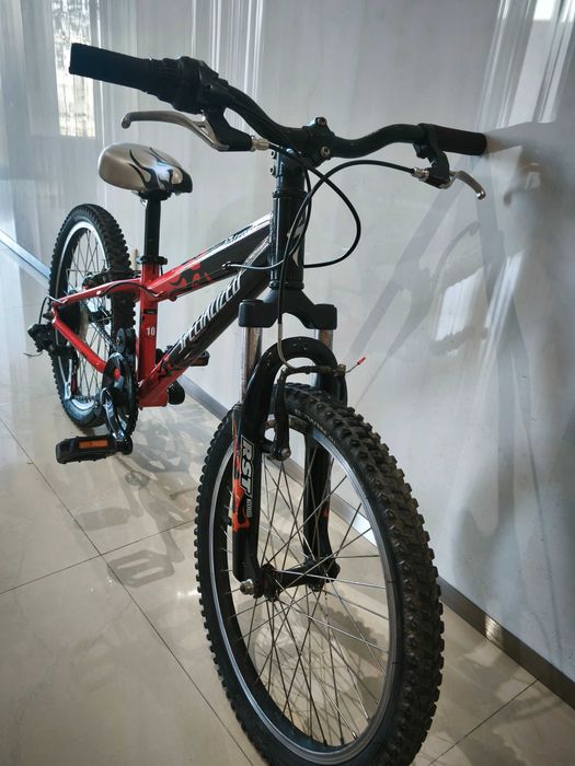 Specialized roda 20