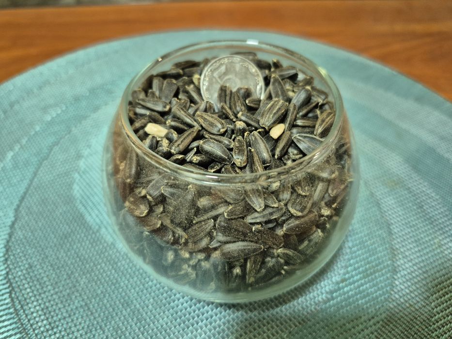 Соняшник  насіння