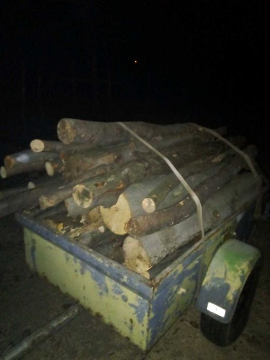 Drewno opałowe buk dąb świerk sosna