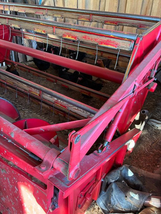 Мойсей форгусон 16