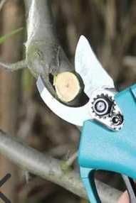 Набір 2 в 1 інструмент акумуляторний секатор та міні пила