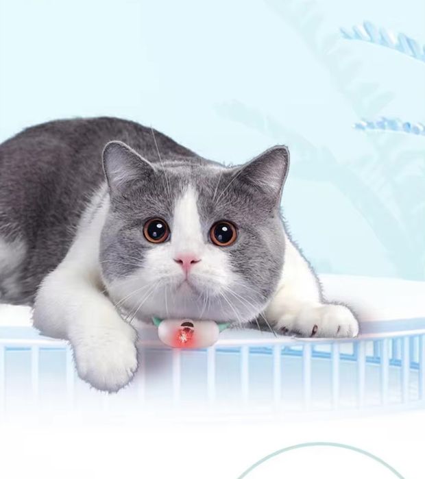 Интерактивная смарт игрушка, ошейник со встроенным лазером  для кошек