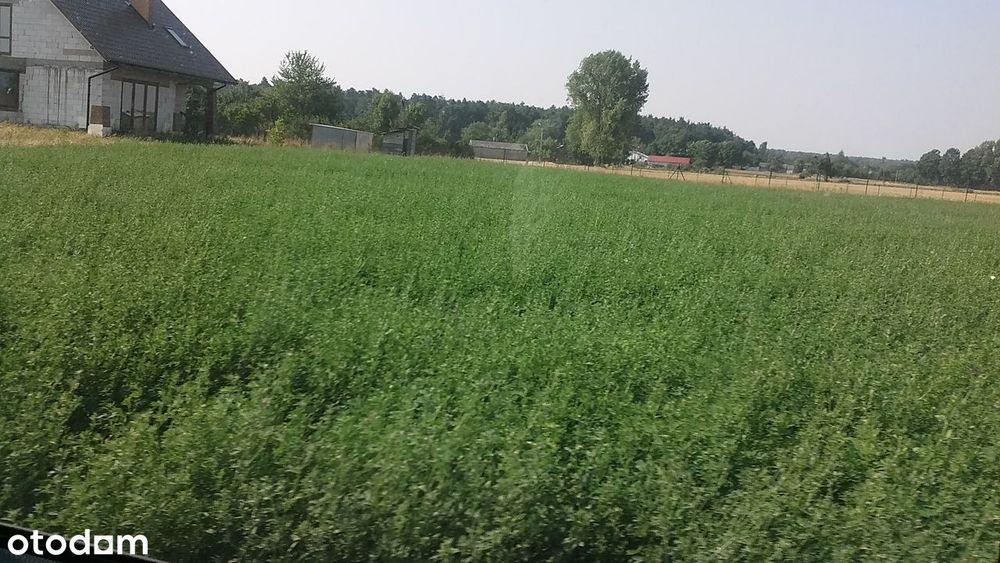 Działki budowlane przy trasie Lublin Kraśnik tanio, wydane aktualne WZ - Więcej