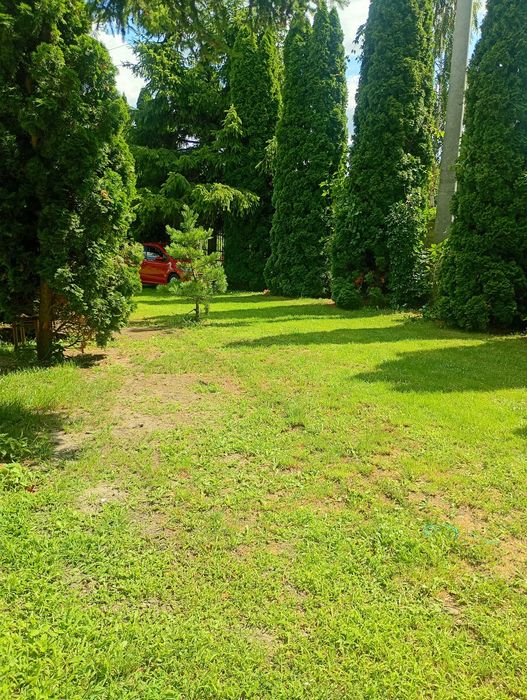 Wynajmę mieszkanie