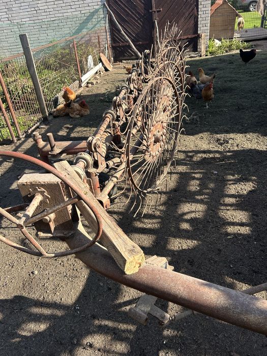 Gwiazda do Siana piątka