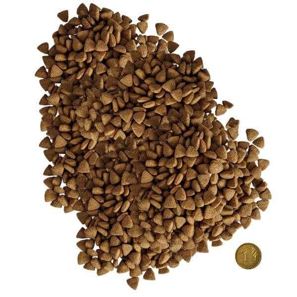 Empire Jagnięcina mini Puppy -TinaZoo Gliwice Jasna