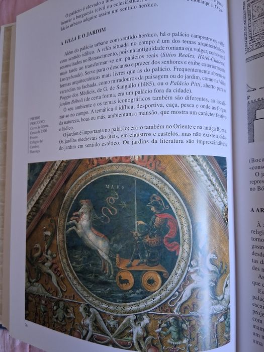 O Despertar do Renascimento