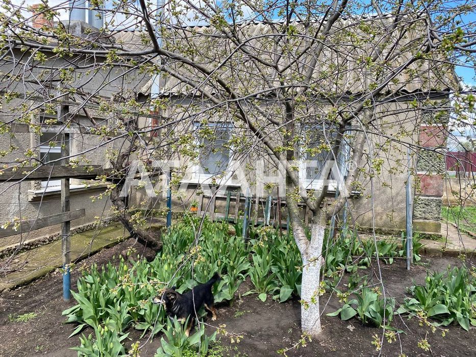 Жилой дом  в пригороде Одессы. Ильинка / Новая Ковалевка