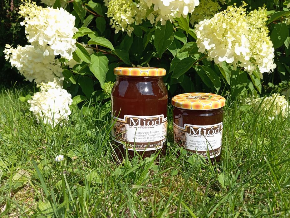 Miód Leśny, z terenów leśnych, miody