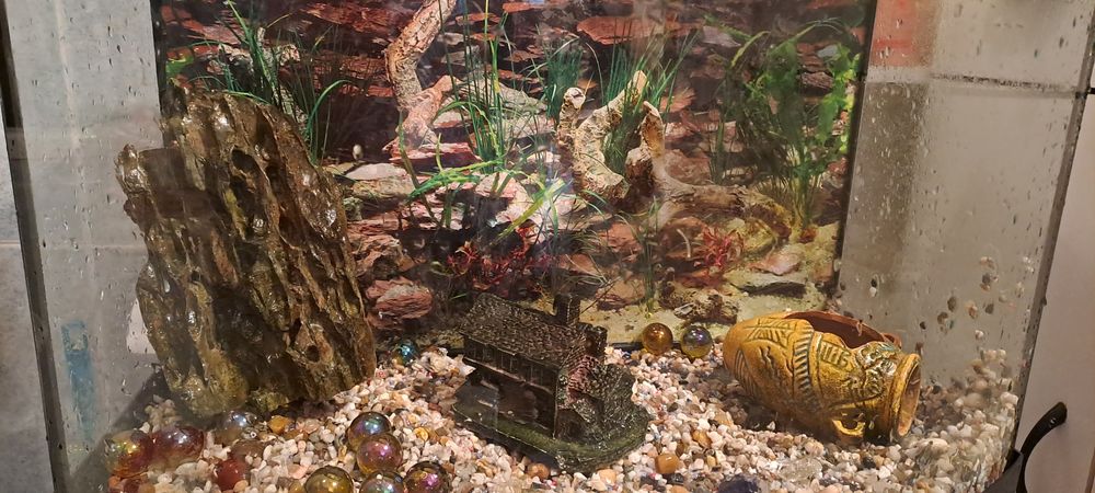 Aquario para venda em bom estado