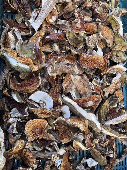 Сухі білі гриби, сушеные белые грибы