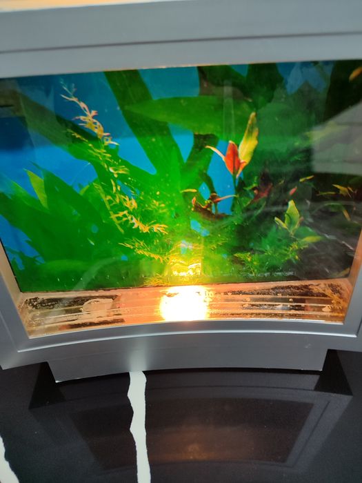 Aquário TV com luz para crianças