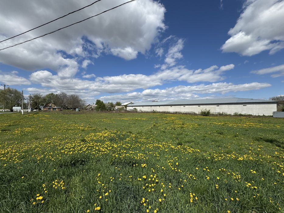 Чабани, вул. Польова 32 сотки