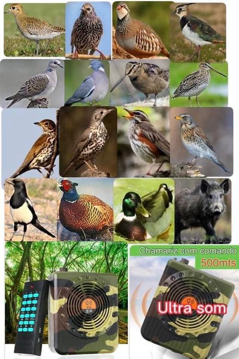 Chamariz ultrasonico com comando, 100 sons