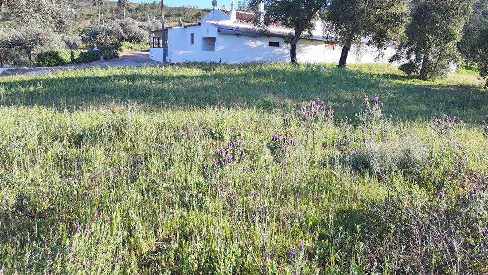 Terreno Rústico em Porto Carvalhoso - Tavira
