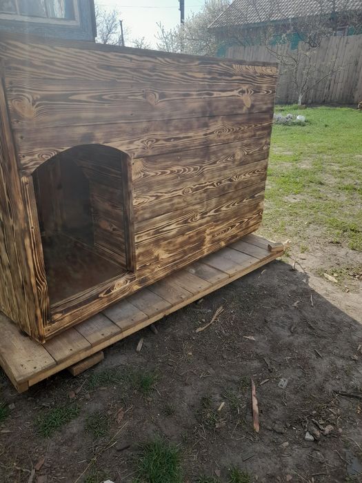 собачі будки будки