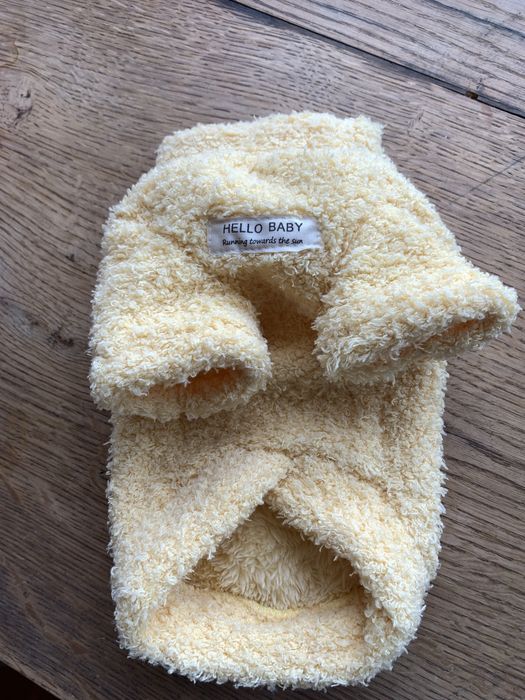 Одяг для собак і котиків