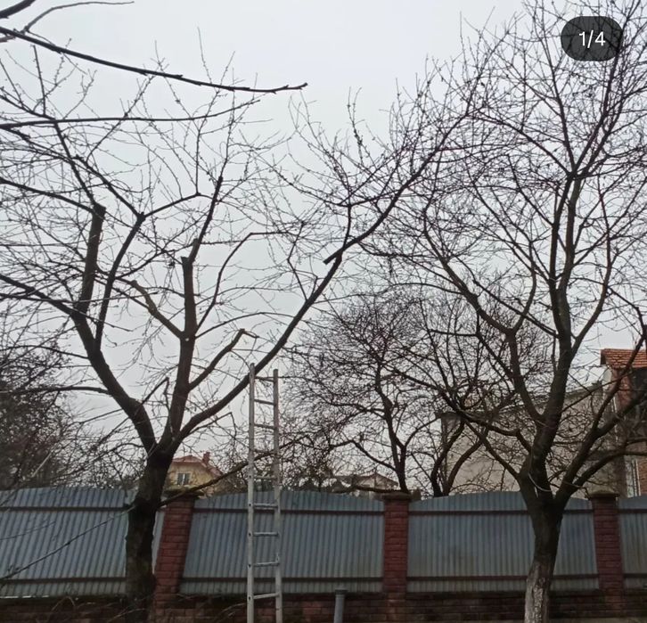 Обрізка плодових Львів/Догляд за садом/Формування плодови