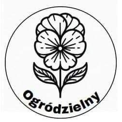 Sadzonka floks 6szt nawrot 2szt