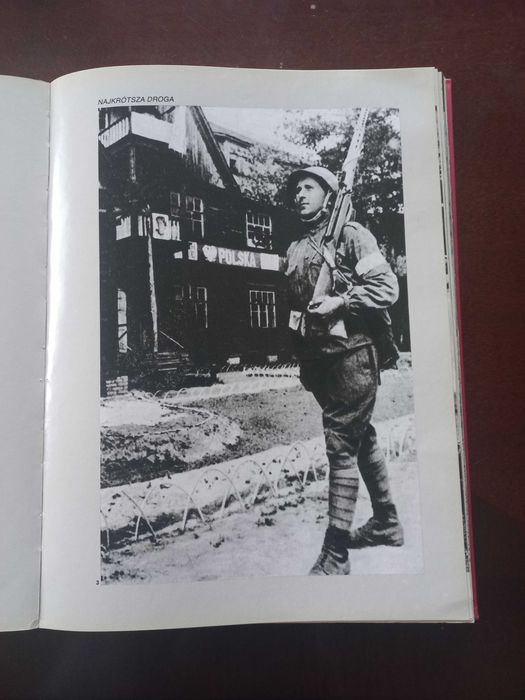 Sprzedam album I polskie to było zwycięstwo