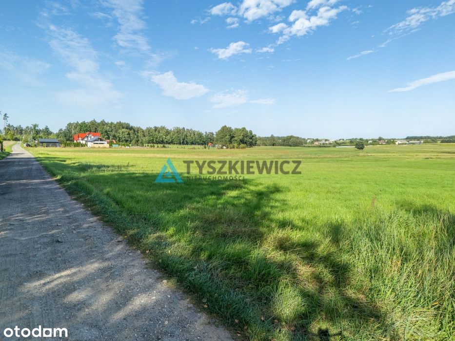 Lipienice k. Chojnic | Duża działka z WZ na 2 domy - Widok 3