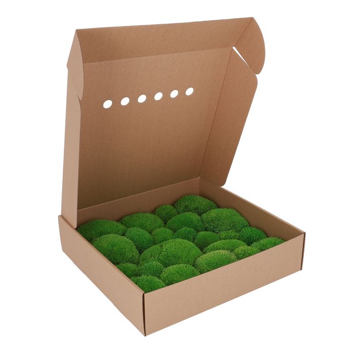 Стабілізований Мох Кочка