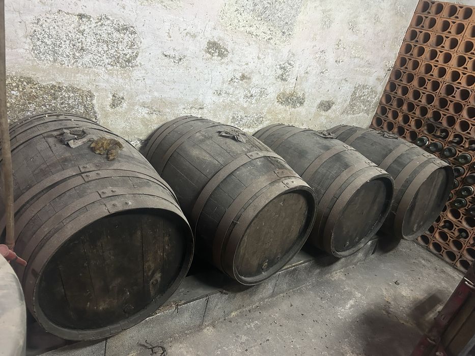 Pipos para venda