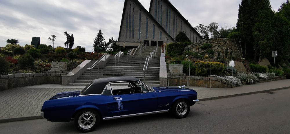 Ford Mustang 1967 rok do ślubu, eventy, filmy, sesje zdjęciowe,